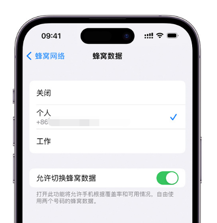 荣县苹果维修服务分享如何在iPhone上使用双卡 